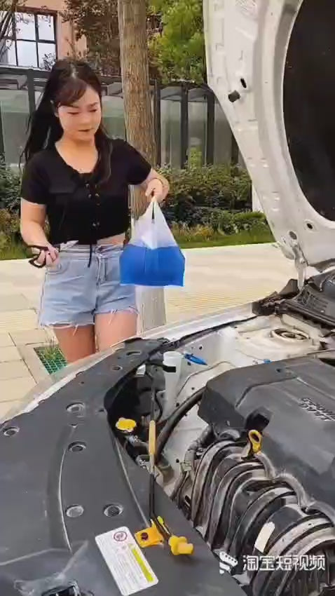 Car Windshield Rapid Cleaner Glass Washer Tablets ( Pack of 20)